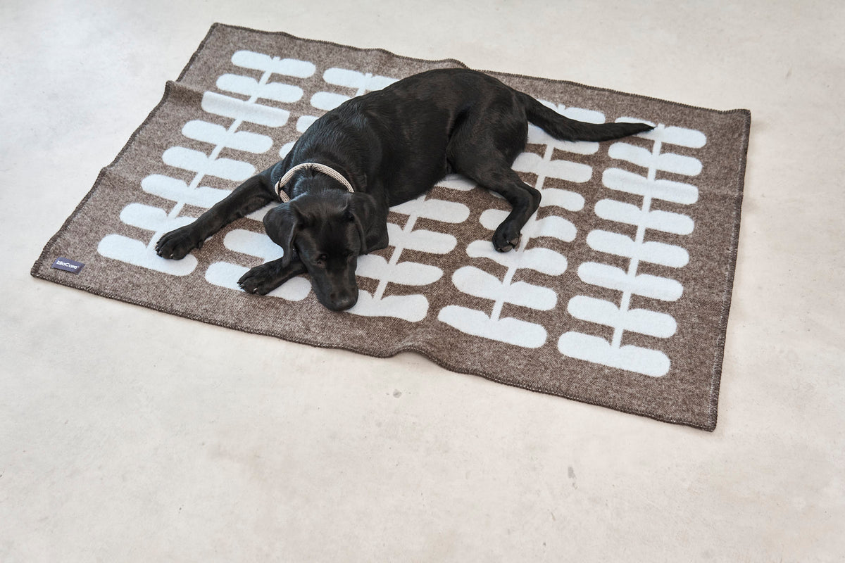 MiaCara Flora Hundedecke Schokolade - Light Sky Hundedecke Wolle Decke für Hunde aus Wolle 