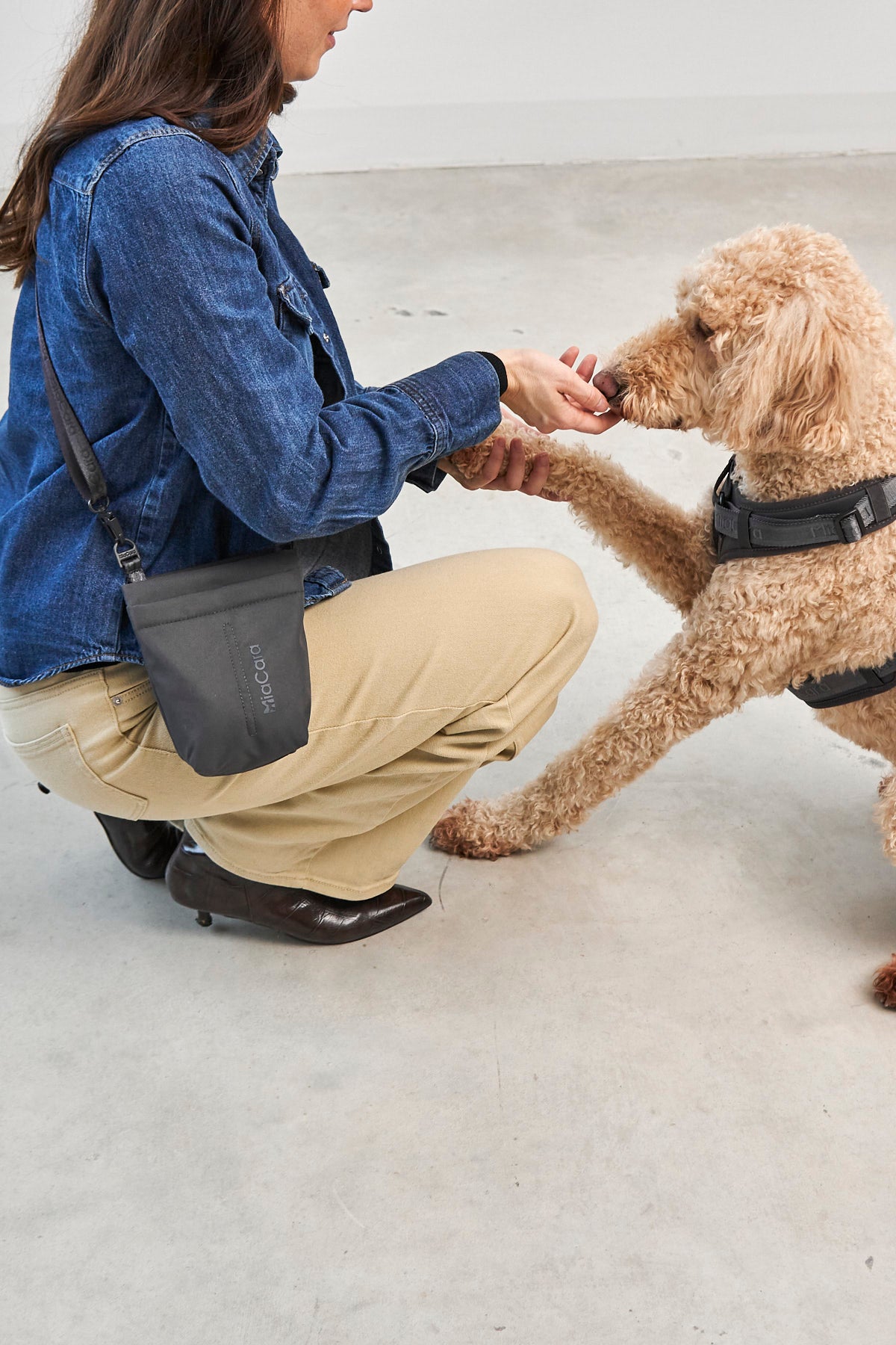 MiaCara Gusto 2.0 Leckerlibeutel Asphalt Hundeleckerlibeutel unterwegs mit Hund Tasche 