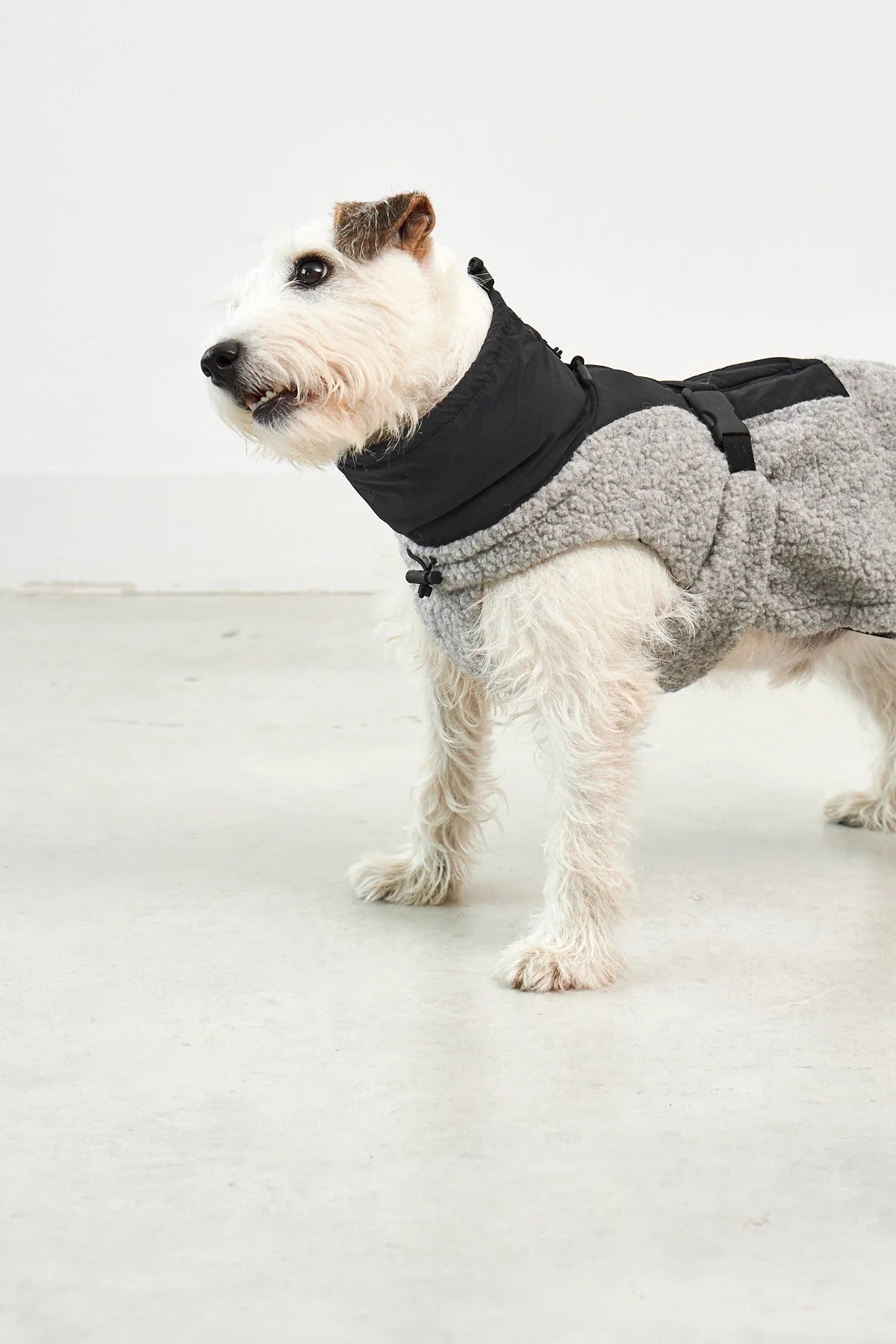 MiaCara Hundemantel Emilia Kiesel - Schwarz Hundewintermantel Teddystoff wasserdicht