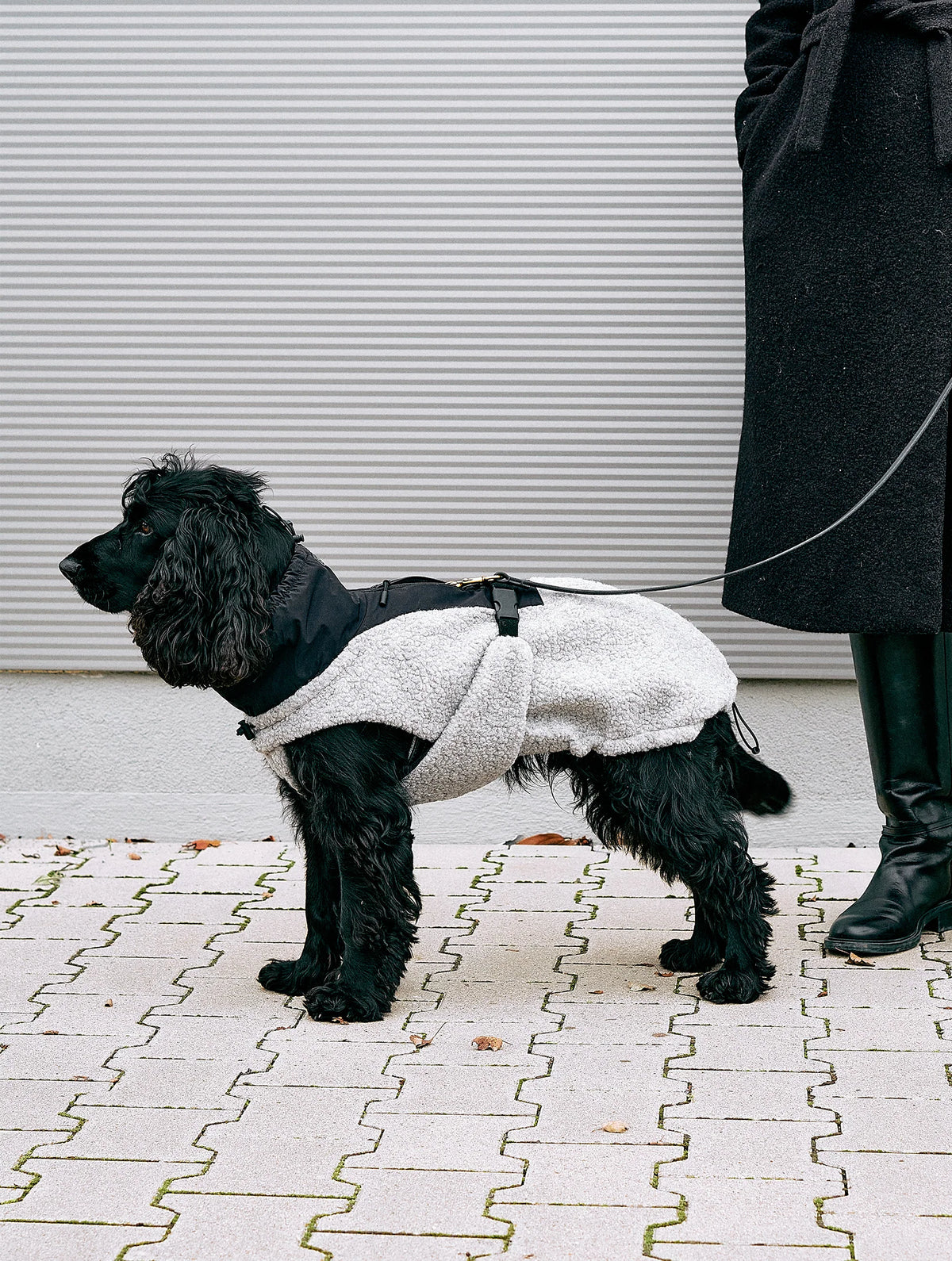MiaCara Hundemantel Emilia Kiesel - Schwarz Wintermantel für Hunde 