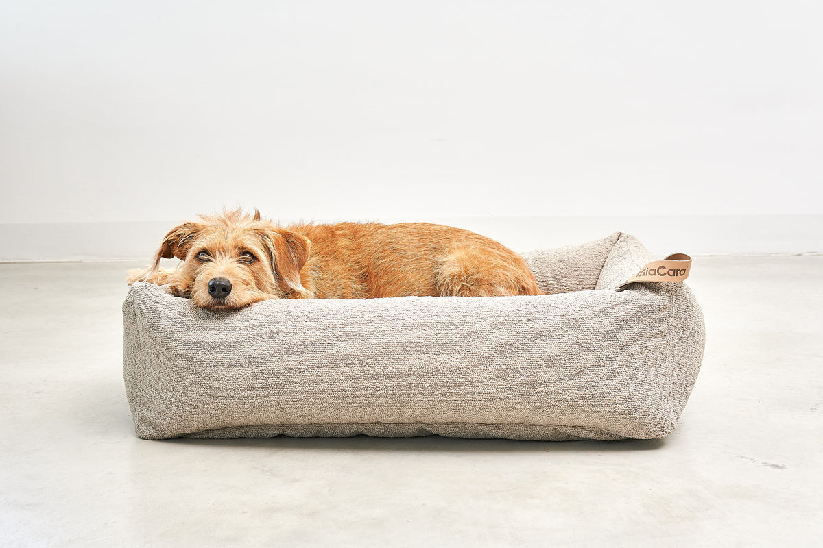 MiaCara Mondo Hundebett Cappuccino Hundekissen