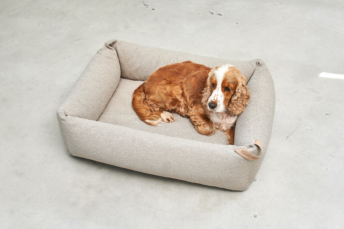 MiaCara Mondo Hundebett Cappuccino Hundekörbchen