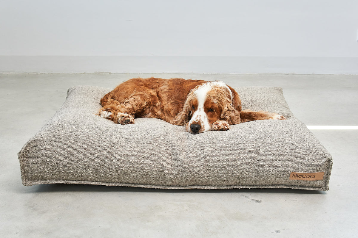 MiaCara Mondo Hundekissen Cappuccino Kissen für Hunde