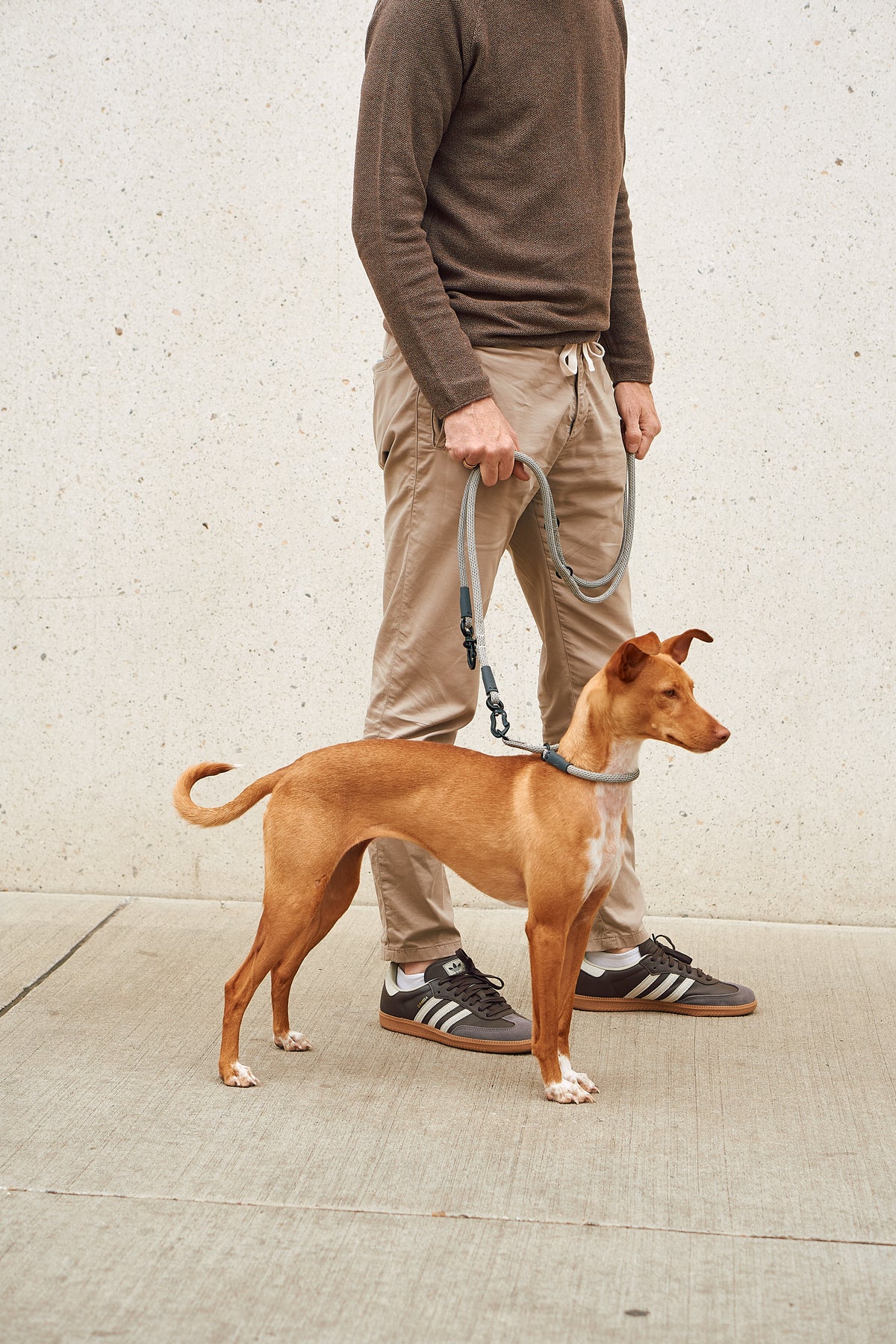 MiaCara Monza Hundehalsband verstellbar Asphalt Greige Grolive Zugstopp Halsband Hund gassi robust