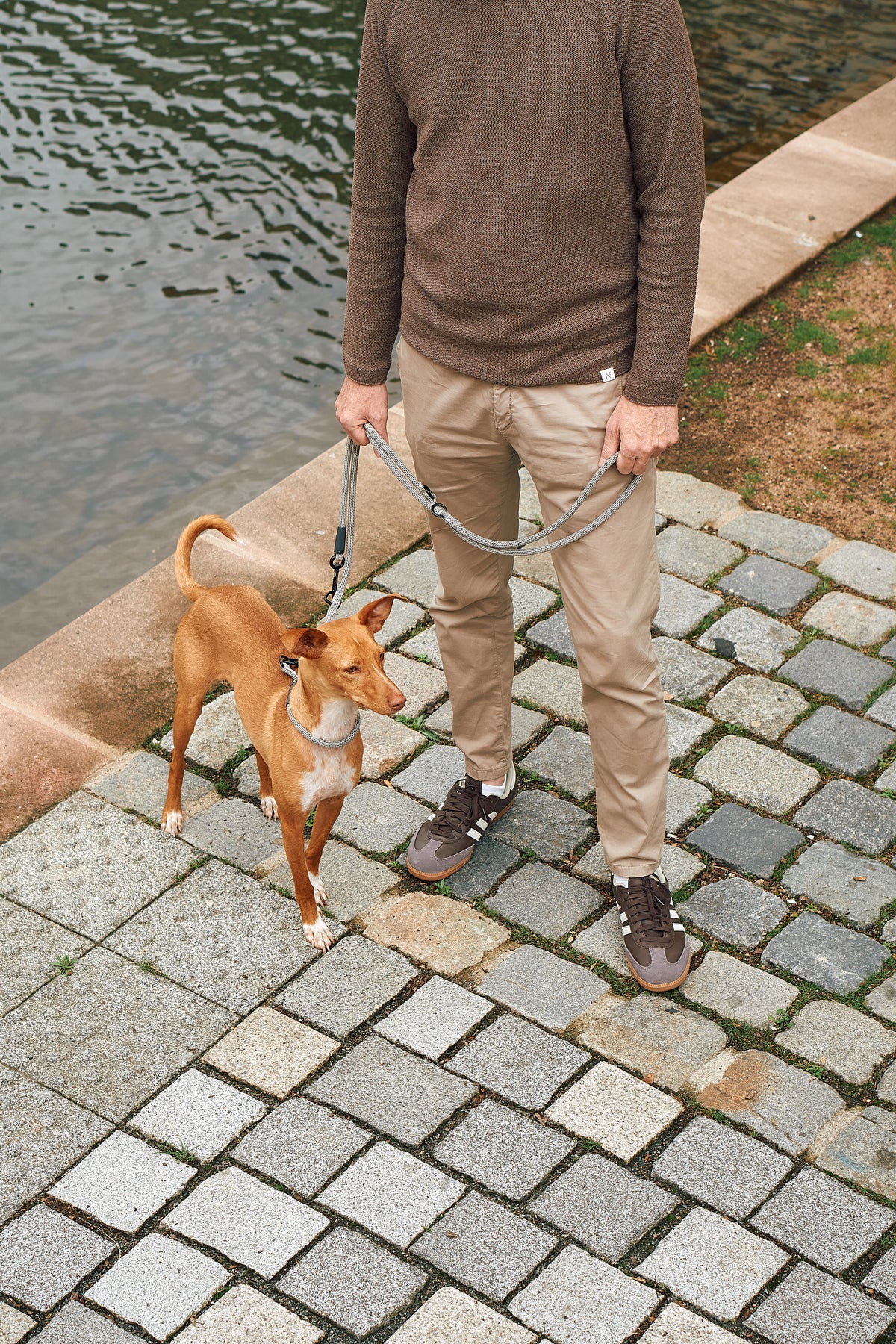 MiaCara Monza Zugstopp Hundehalsband Asphalt Greige Grolive Hundehalsband klassisch robust gassigehen