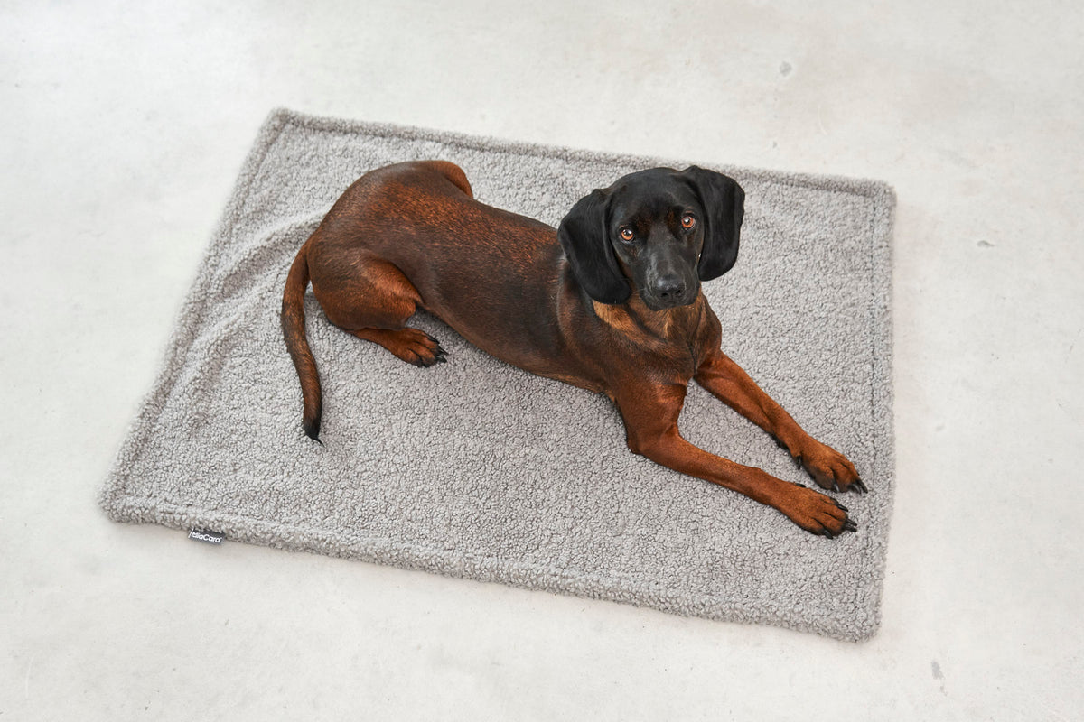 MiaCara Senso Hundedecke Kiesel Decke für Hunde Teddyplüsch