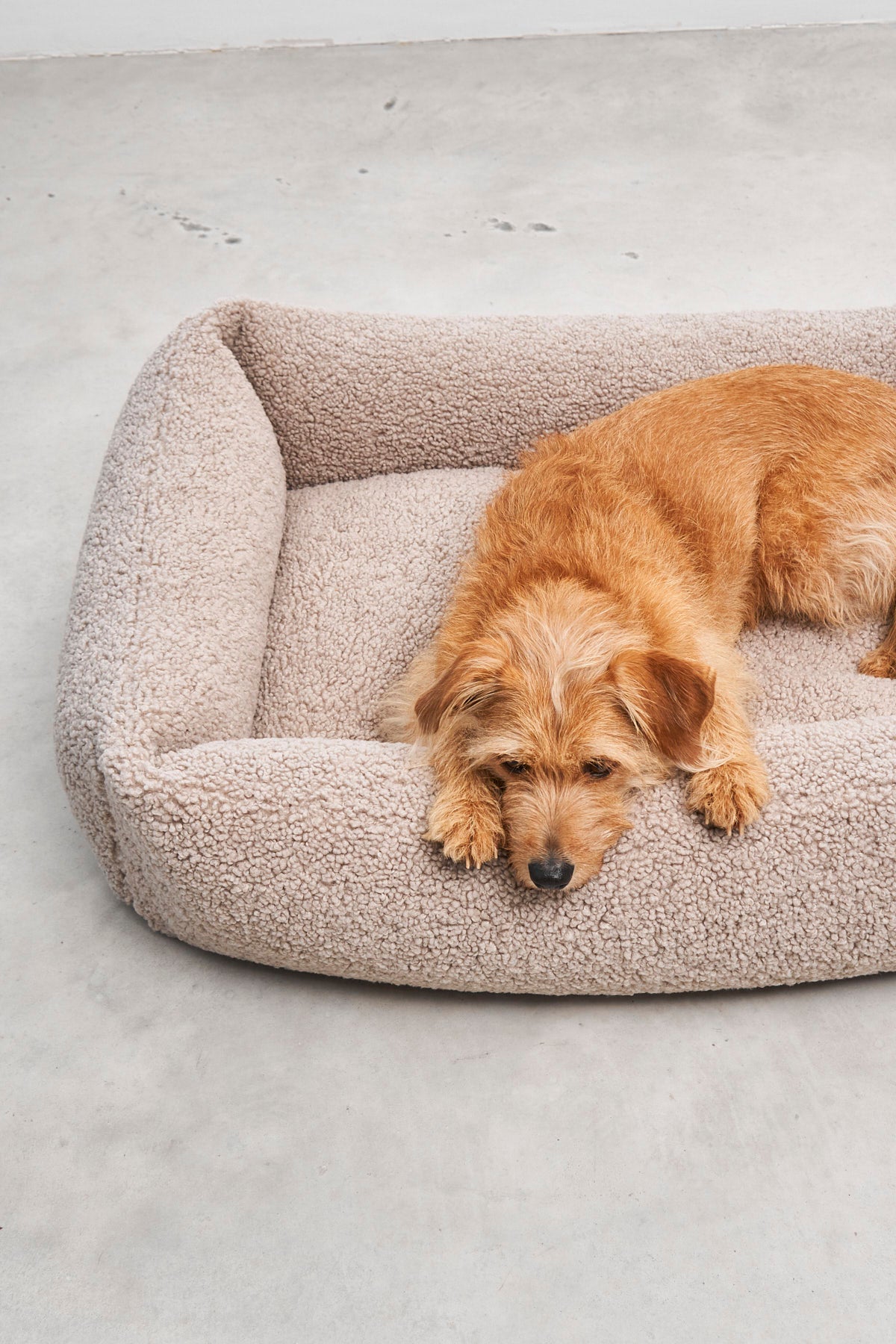 MiaCara Senso Box-Bett Greige Boucle-Hundebett