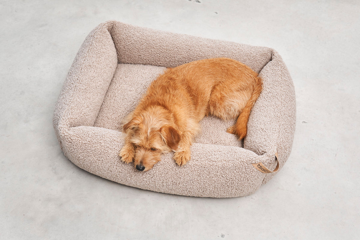 MiaCara Senso Box-Bett Greige beiges Teddy Hundebett