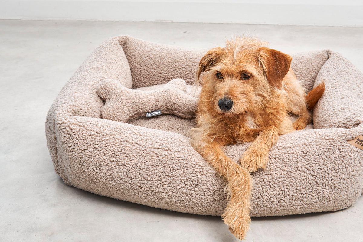 MiaCara Senso Box-Bett Greige orthopaedisches Boucle Hundebett
