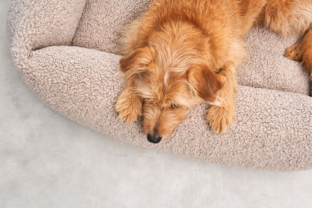 MiaCara Senso Box-Bett Greige weiches Teddy Hundebett