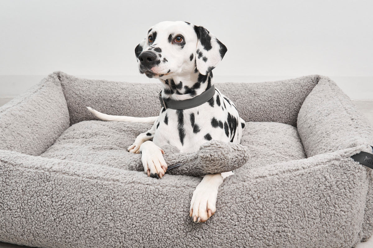 MiaCara Senso Box-Bett Kiesel Sherpa Hundebett fuer Hunde