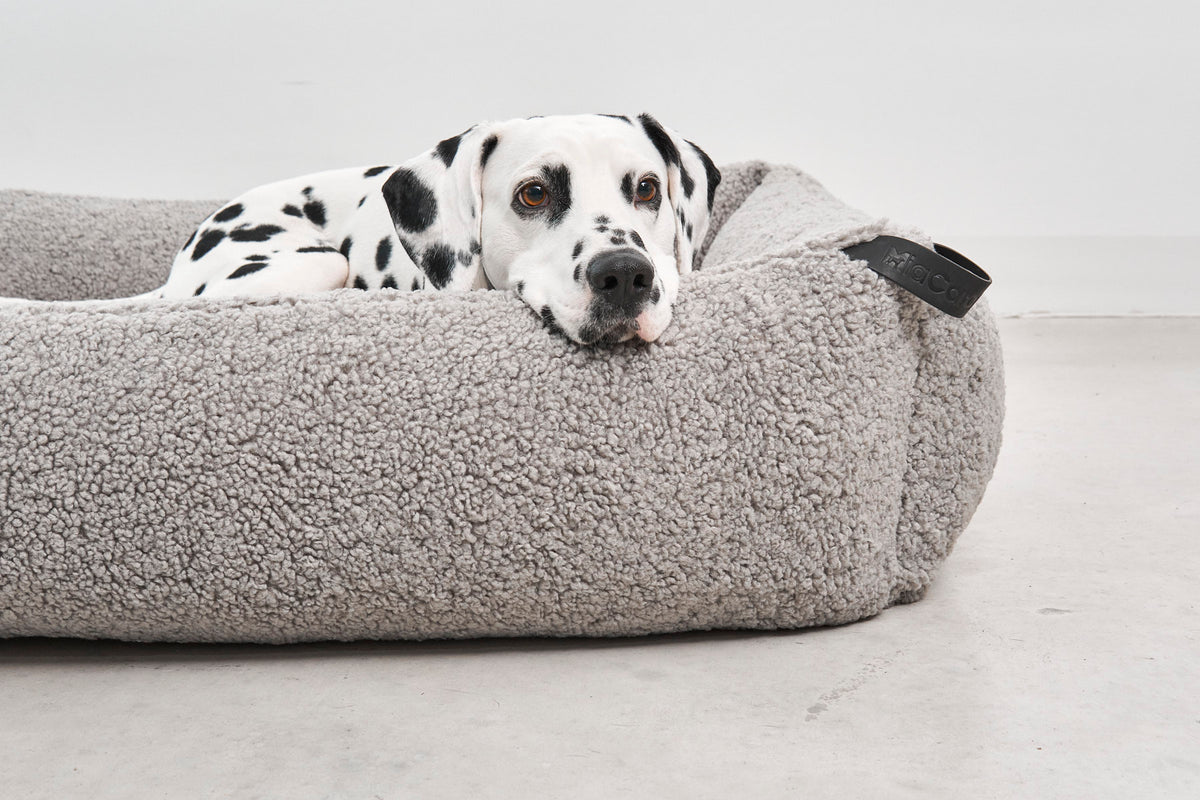 MiaCara Senso Box-Bett Kiesel Sherpa Hundebett