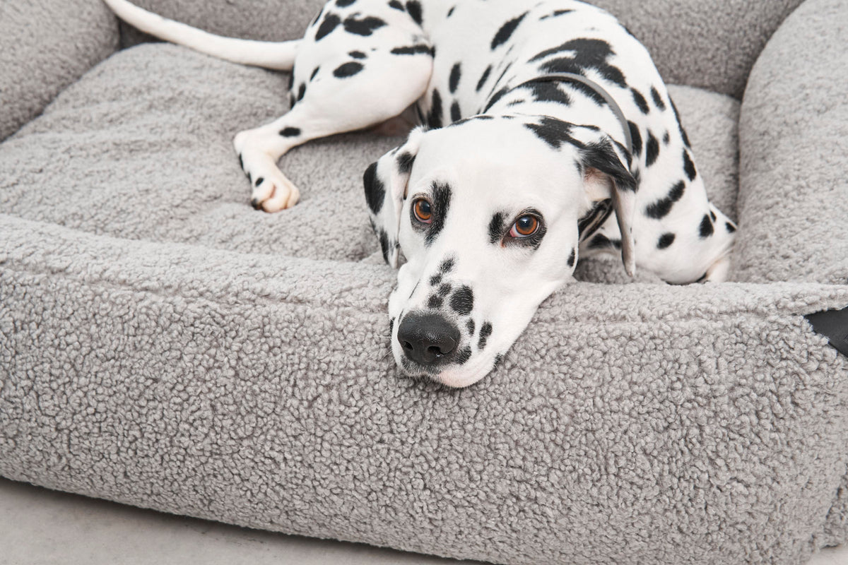 MiaCara Senso Box-Bett Kiesel flauschiges Sherpa Hundebett