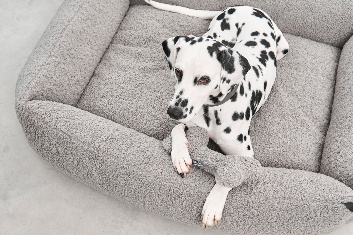 MiaCara Senso Box-Bett Kiesel grosses Hundebett