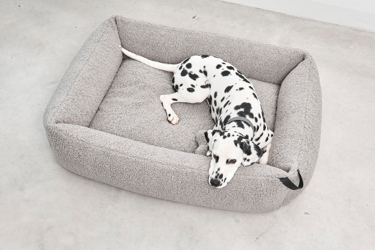 MiaCara Senso Box-Bett Kiesel hochwertiges Sherpa Hundebett