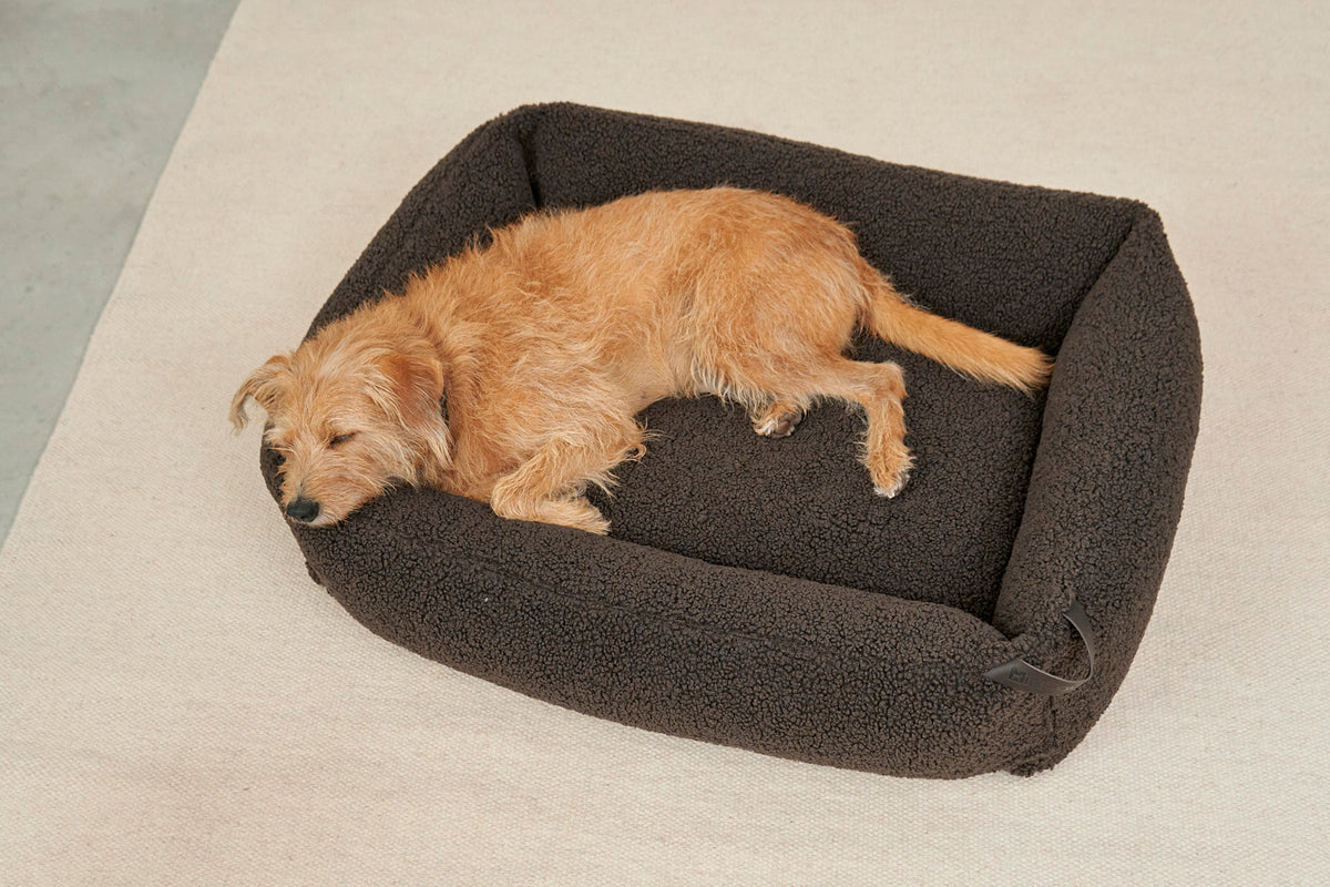 MiaCara Senso Box-Bett Schokolade Hundebett mit Bezug