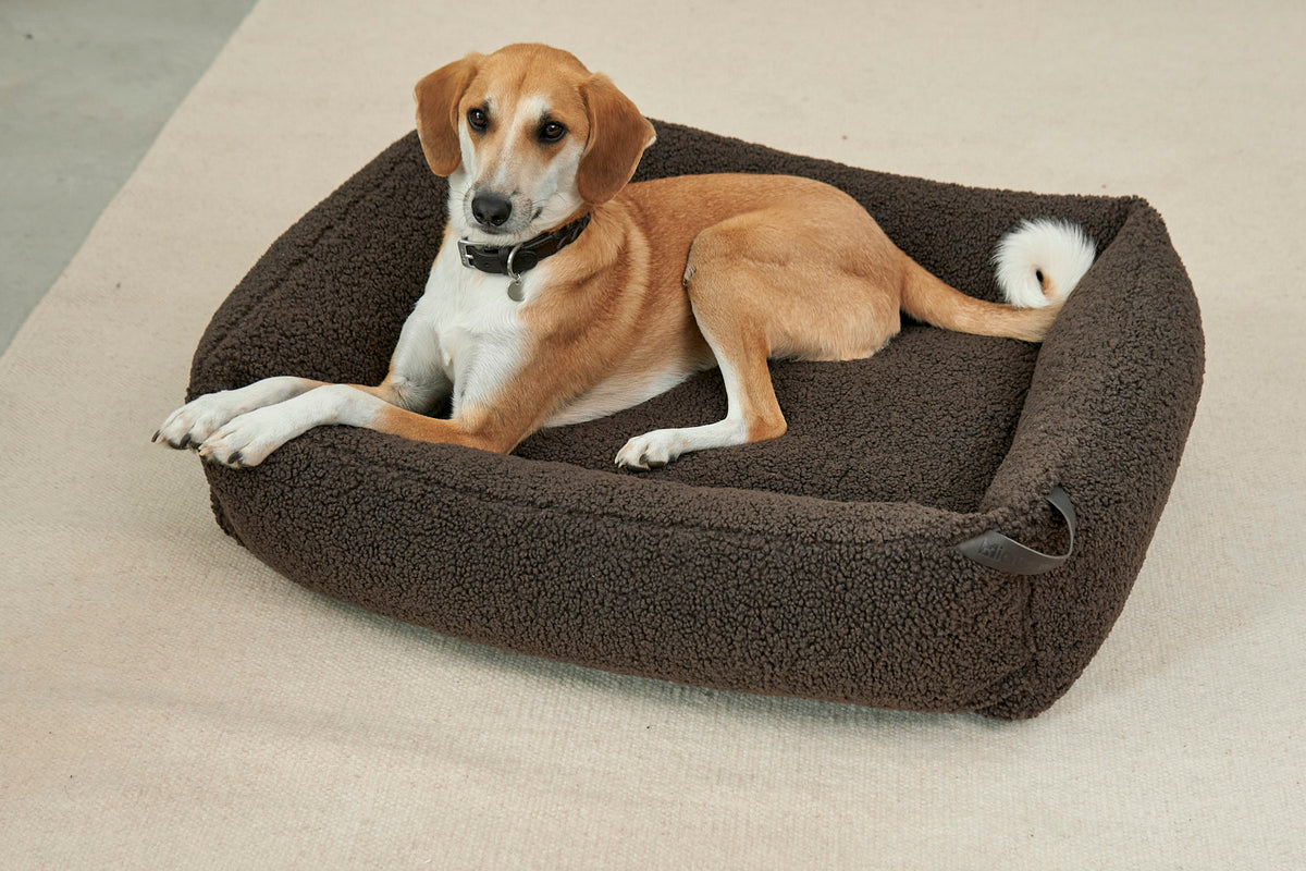 MiaCara Senso Box-Bett Schokolade Hundebett waschbar