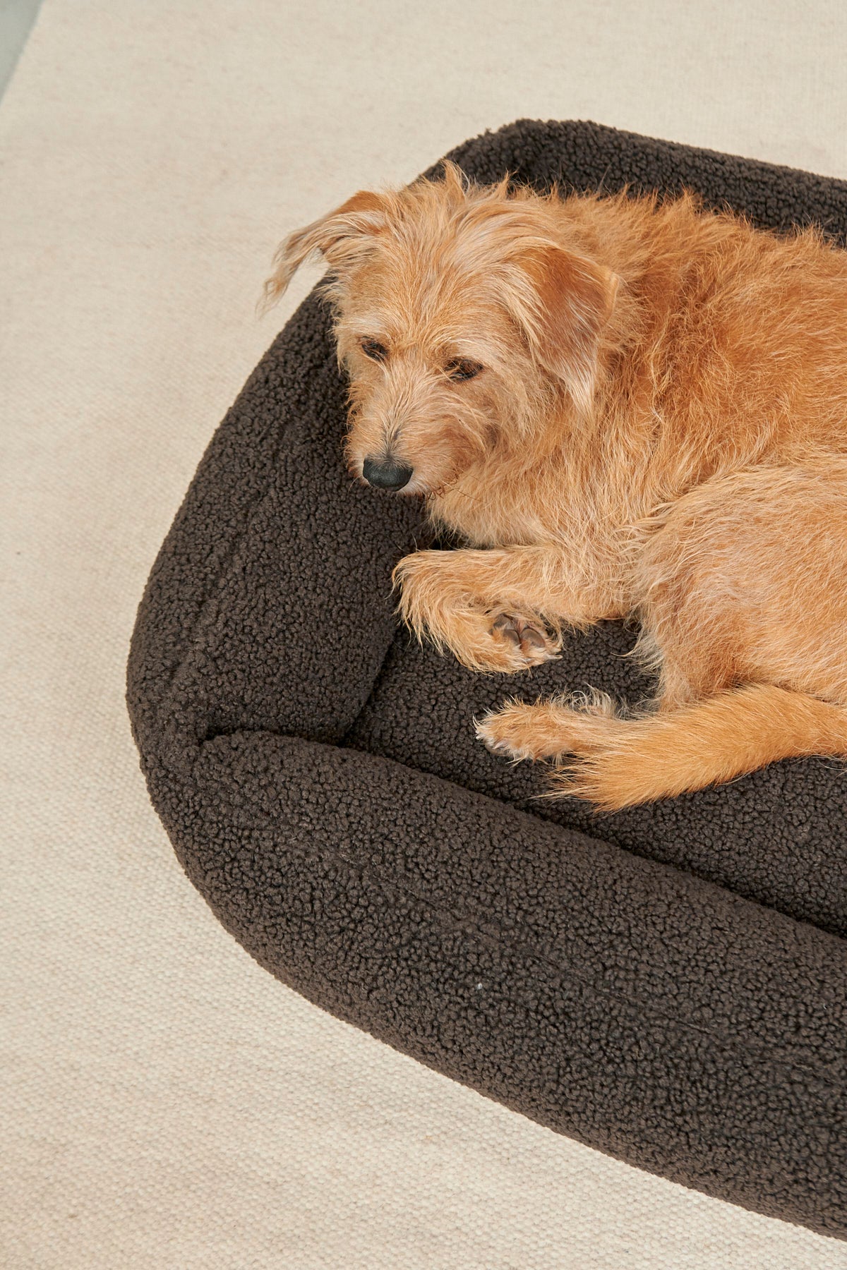 MiaCara Senso Box-Bett Schokolade Hundekissen mit Bezug