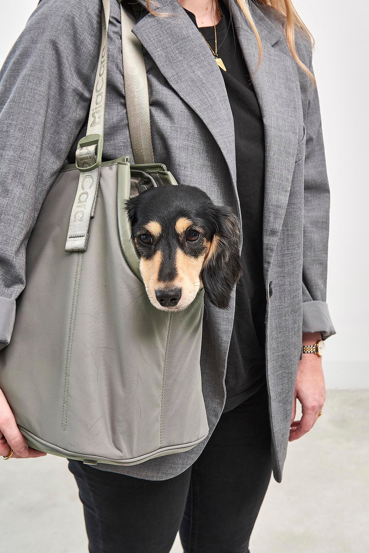 MiaCara Sporta Hundetragetasche Grolive Hundetasche mit Leine