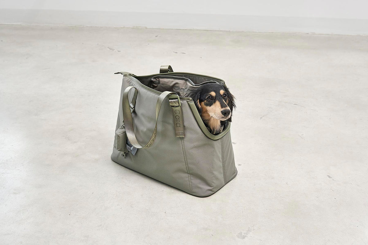 MiaCara Sporta Hundetragetasche Grolive Reisen mit Hund