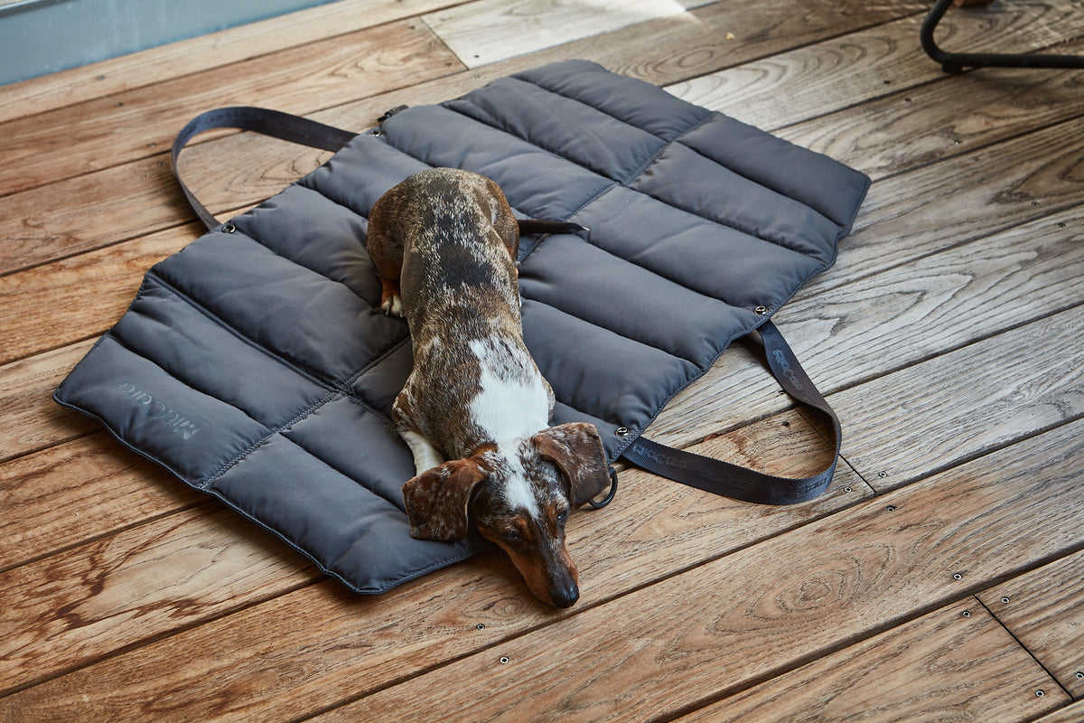 MiaCara strada travelbed Asphalt Hundematte unterwegs 