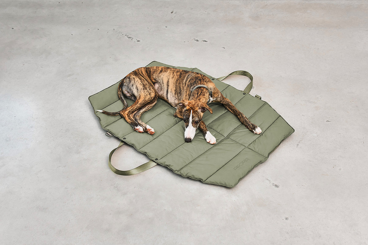 MiaCara Strada travelBed Grolive Hundereisedecke waschbar
