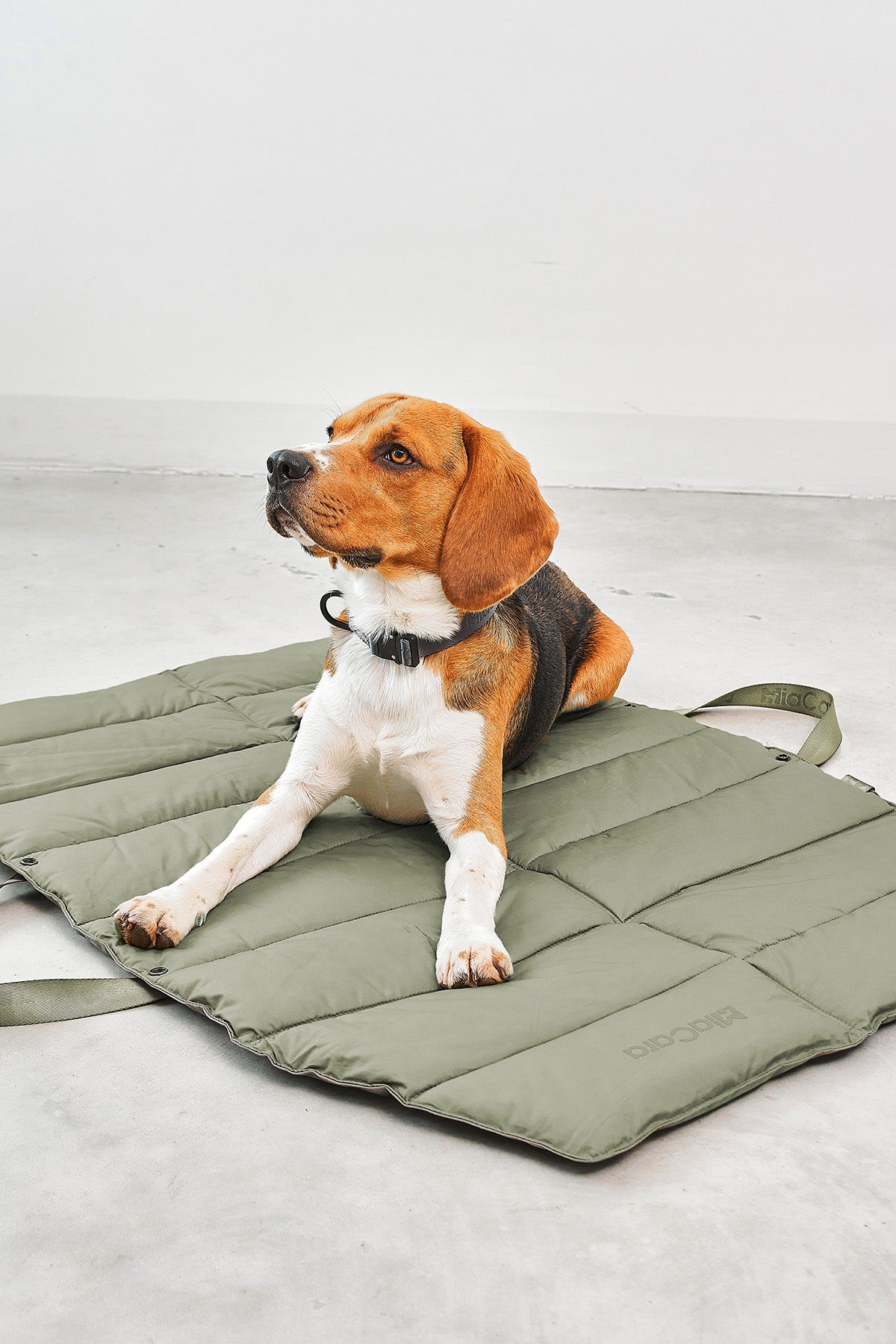 MiaCara Strada travelBed Grolive S Dogbed