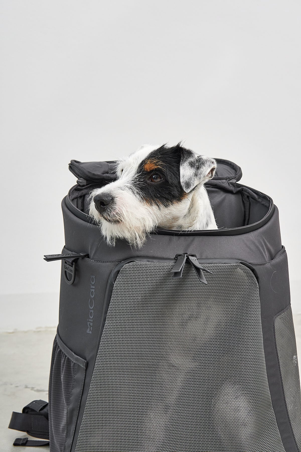 MiaCara Zaino Hunderucksack Asphalt Rucksack für Hunde mit Fenster
