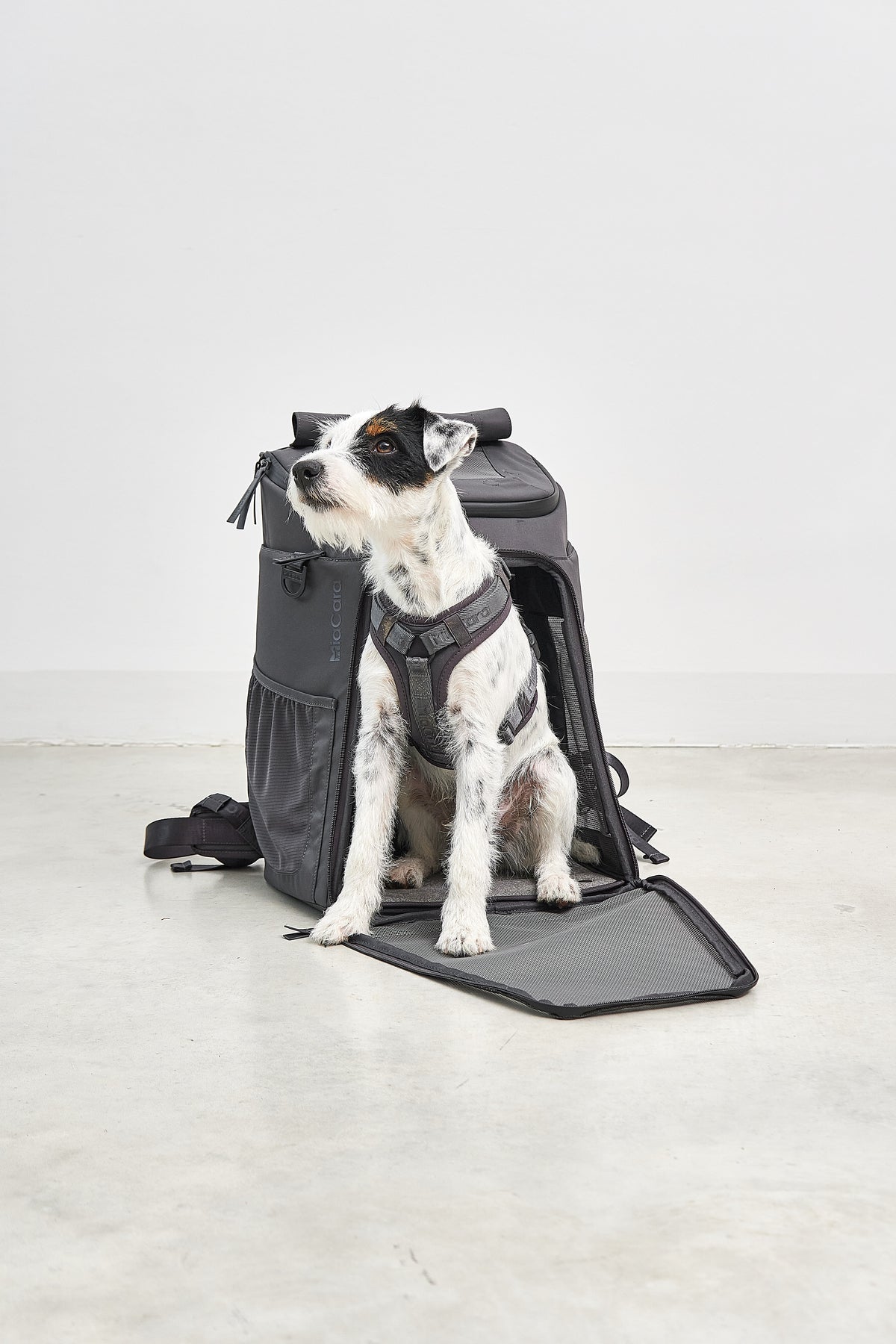 MiaCara Zaino Hunderucksack Asphalt Rucksack für Hunde zum Wandern