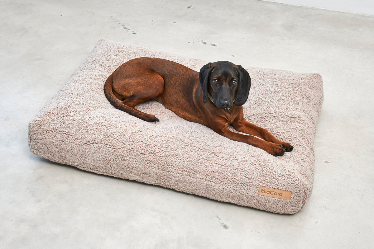 Miacara Senso Hundekissen Greige Teddykissen fuer kleine und grosse Hunde