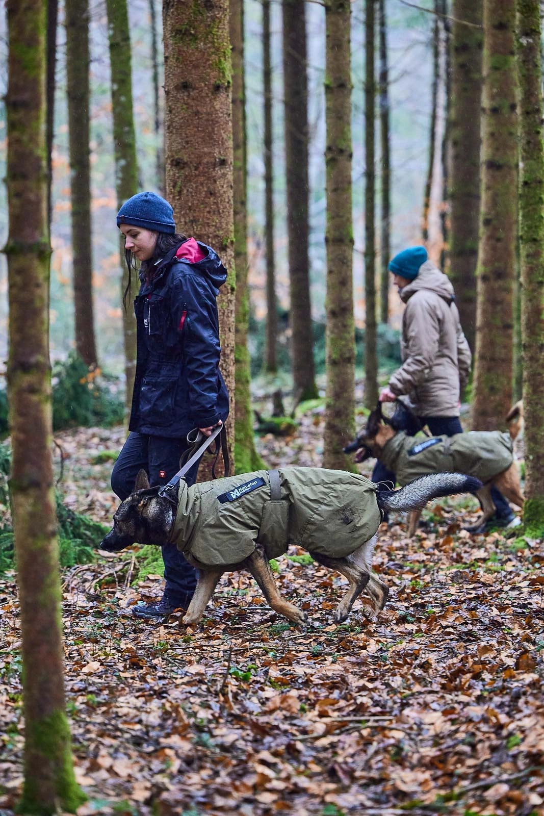 Non-Stop Dogwear Glacier Jacket WD wasserabweisende Hundejacke