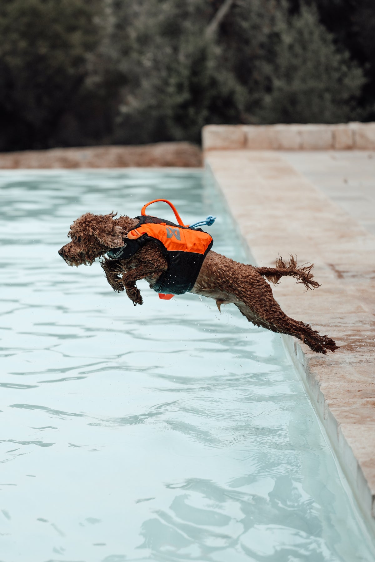 Non-Stop Dogwear Protector Life Jacket Orange Black Hundeschwimmweste Schwimmweste für Hunde Hunderettungsweste