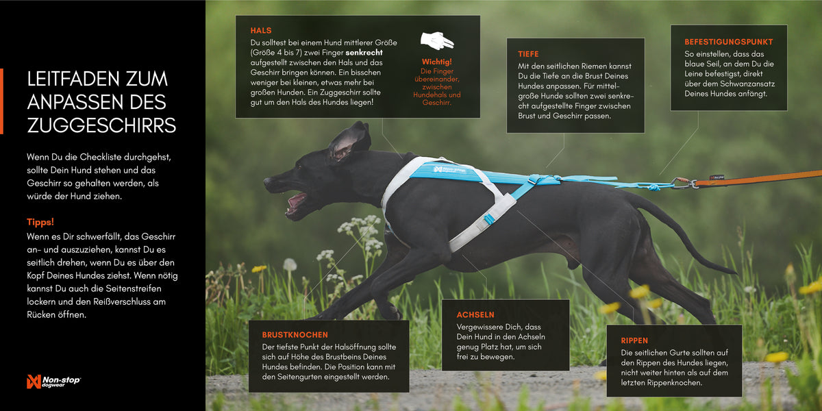 Non Stop Dogwear Leitfaden zum Anpassen eines Zuggeschirrs