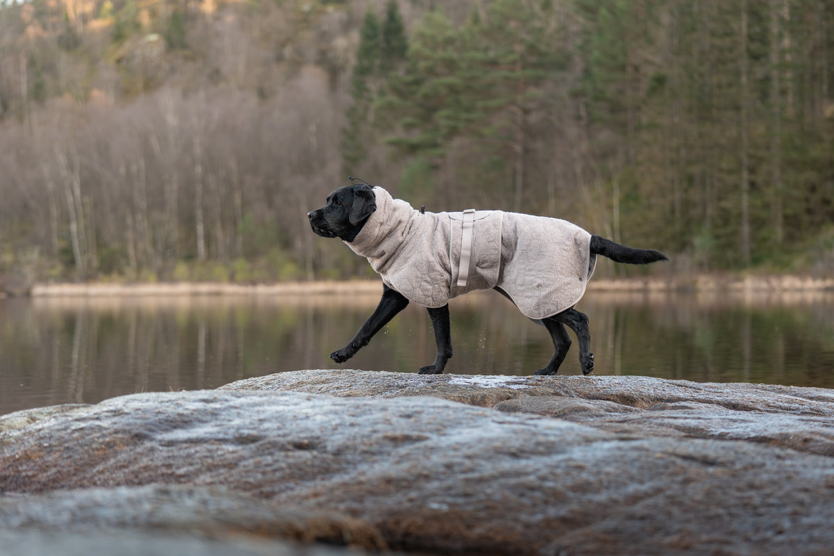 Non-stop dogwear® Drying Coat Bademantel Hund Frottee