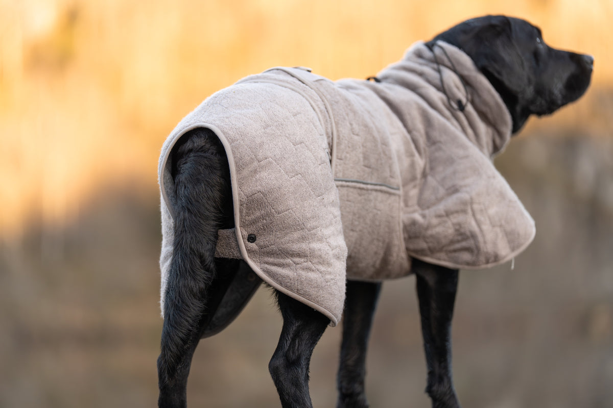 Non-stop dogwear® Drying Coat Bademantel Hund Equipment Hundesport