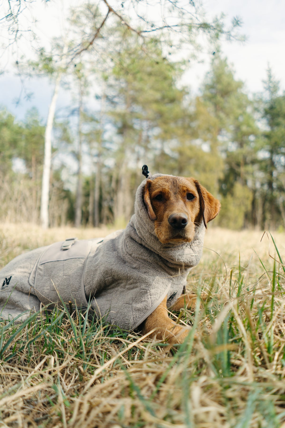 Non-stop dogwear® Drying Coat Bademantel für Hunde