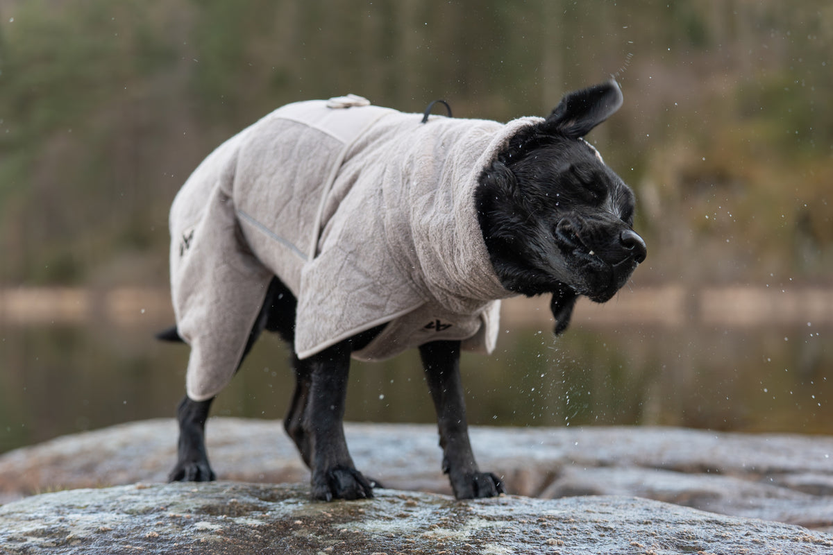 Non-stop dogwear® Drying Coat Hundebademantel Handtuch für Hunde