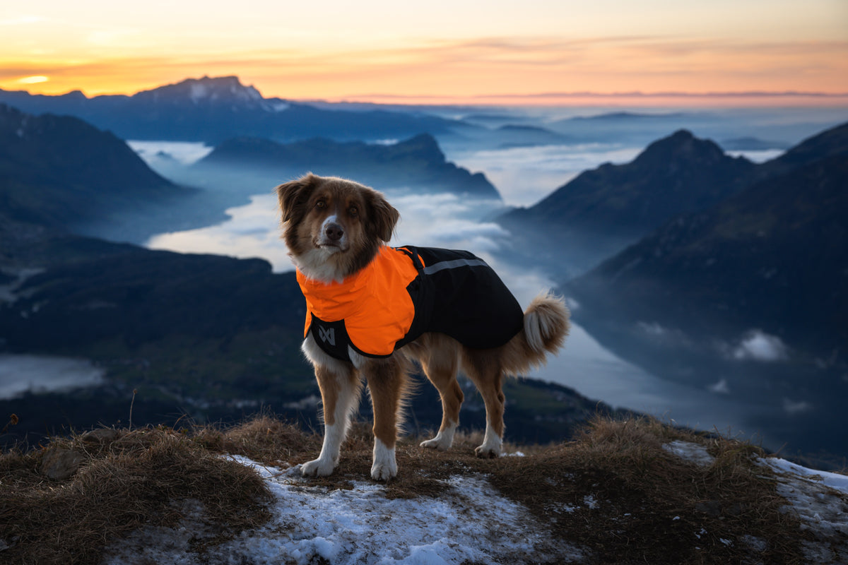 Non-stop dogwear® Fjord Raincoat 2.0 Orange / Black Hundemantel Atmungsaktiv wasserabweisend wasserdicht 
