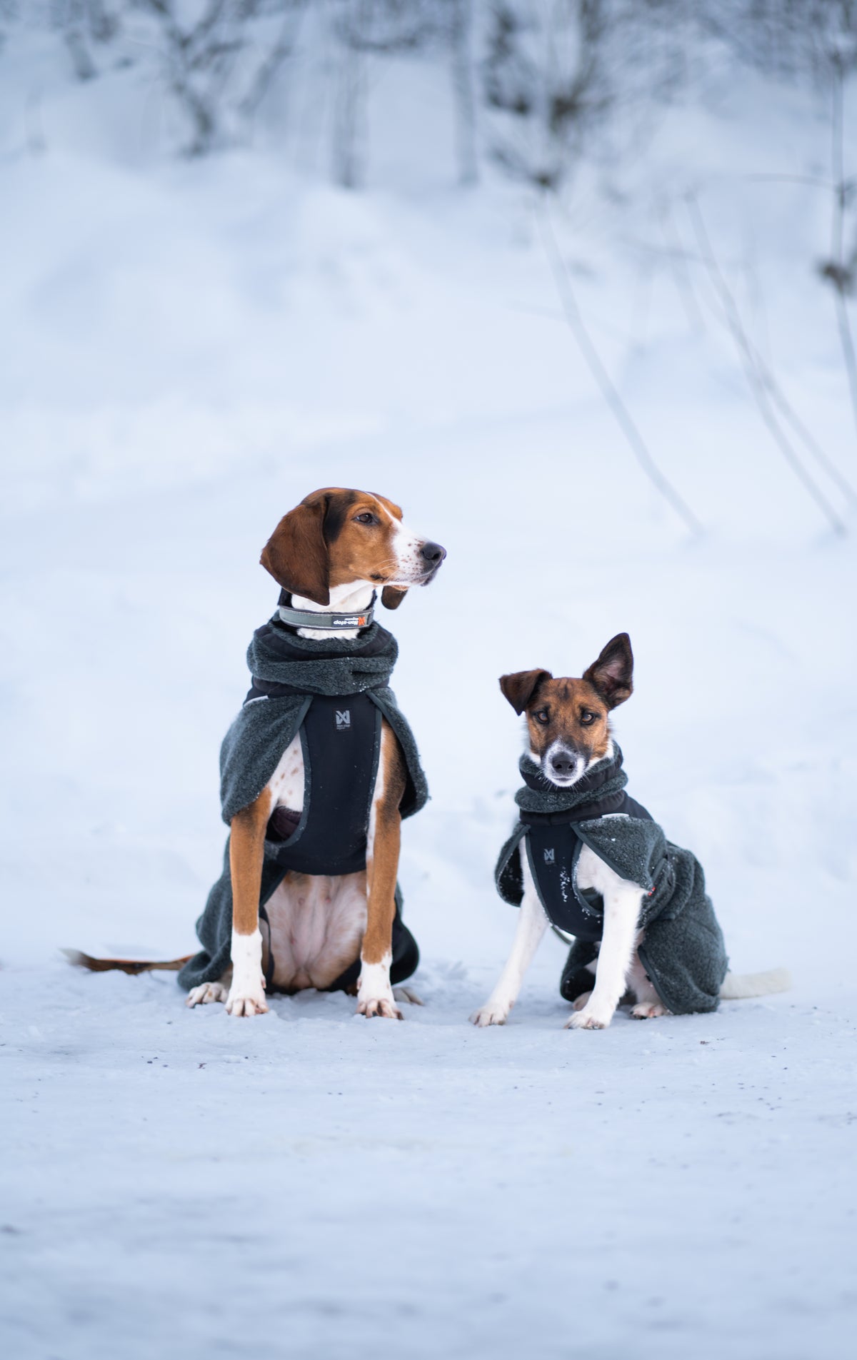 Non-stop dogwear® Wool Dog Jacket Regenjacke Hund