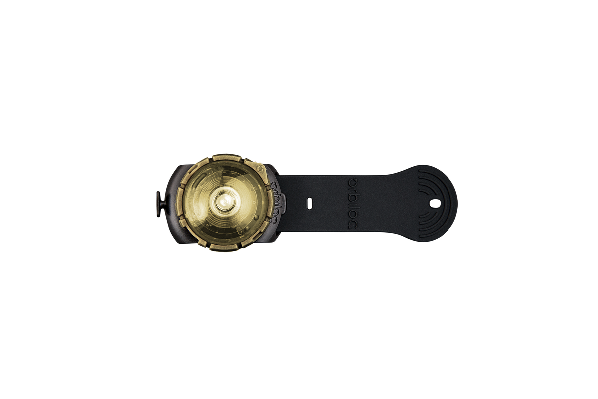 Orbiloc Dog Dual Adjustable-Strap Gold LED Leuchthalsband