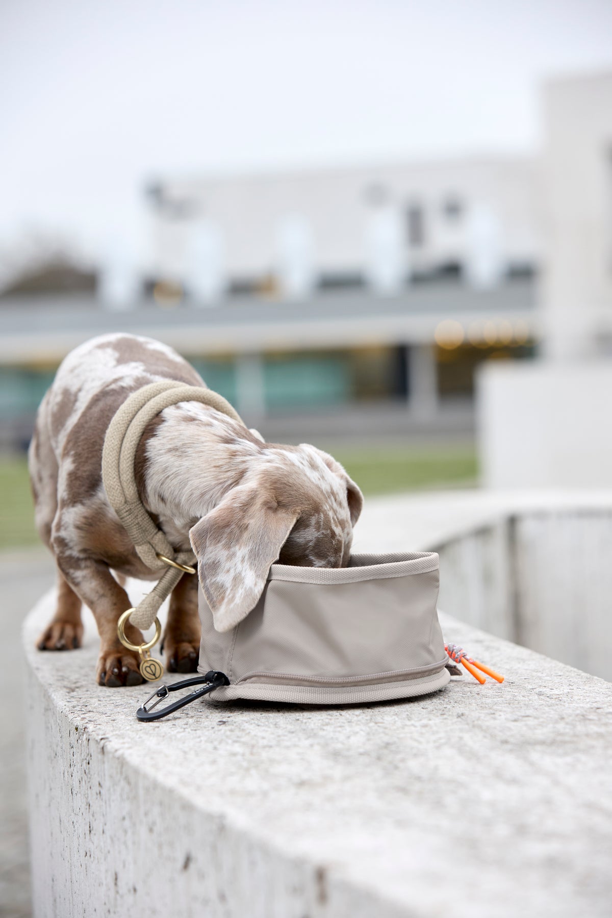 Dog Bowl To Go Tura Taupe Hundenapf