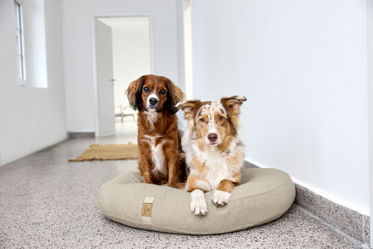 PALOPA Hundebett Donut Fippa Hafer Hundebett rund 