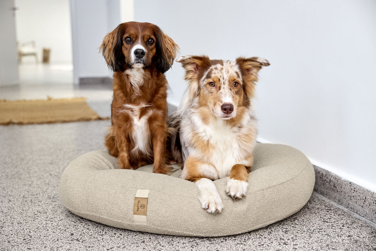 PALOPA Hundebett Donut Fippa Hafer Hundekissen Beige Teddystoff Boucle