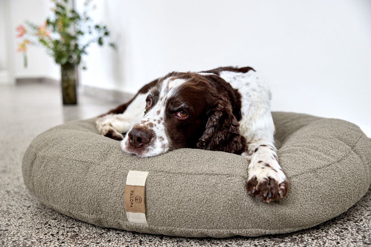PALOPA Hundebett Donut Fippa Taupe Hundekissen Teddystoff Boucle Beige