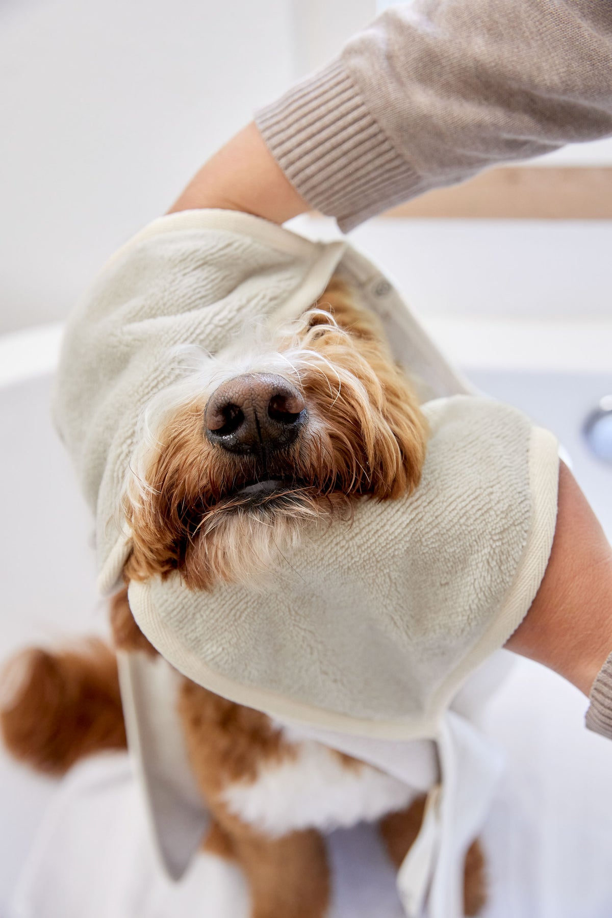 PALOPA Hundehandtuch Kosy Beige Hundehandtuch aus beige Frottee