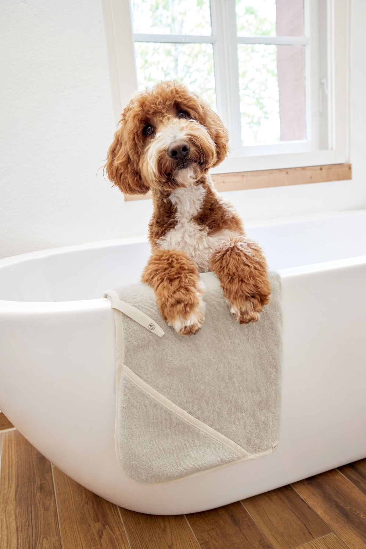 PALOPA Hundehandtuch Kosy Beige nachhaltiges Hundehandtuch