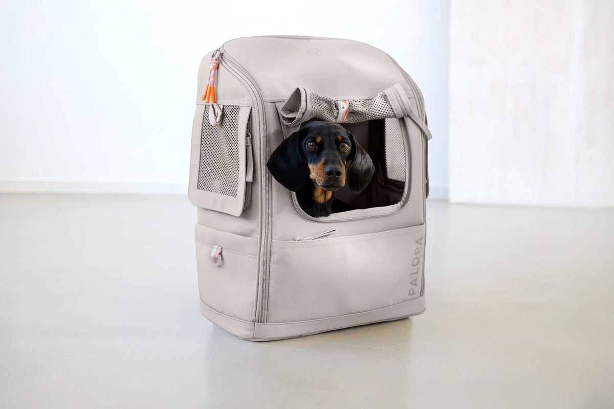 PALOPA Hundetragerucksack Kari Taupe Reisetasche für Hunde