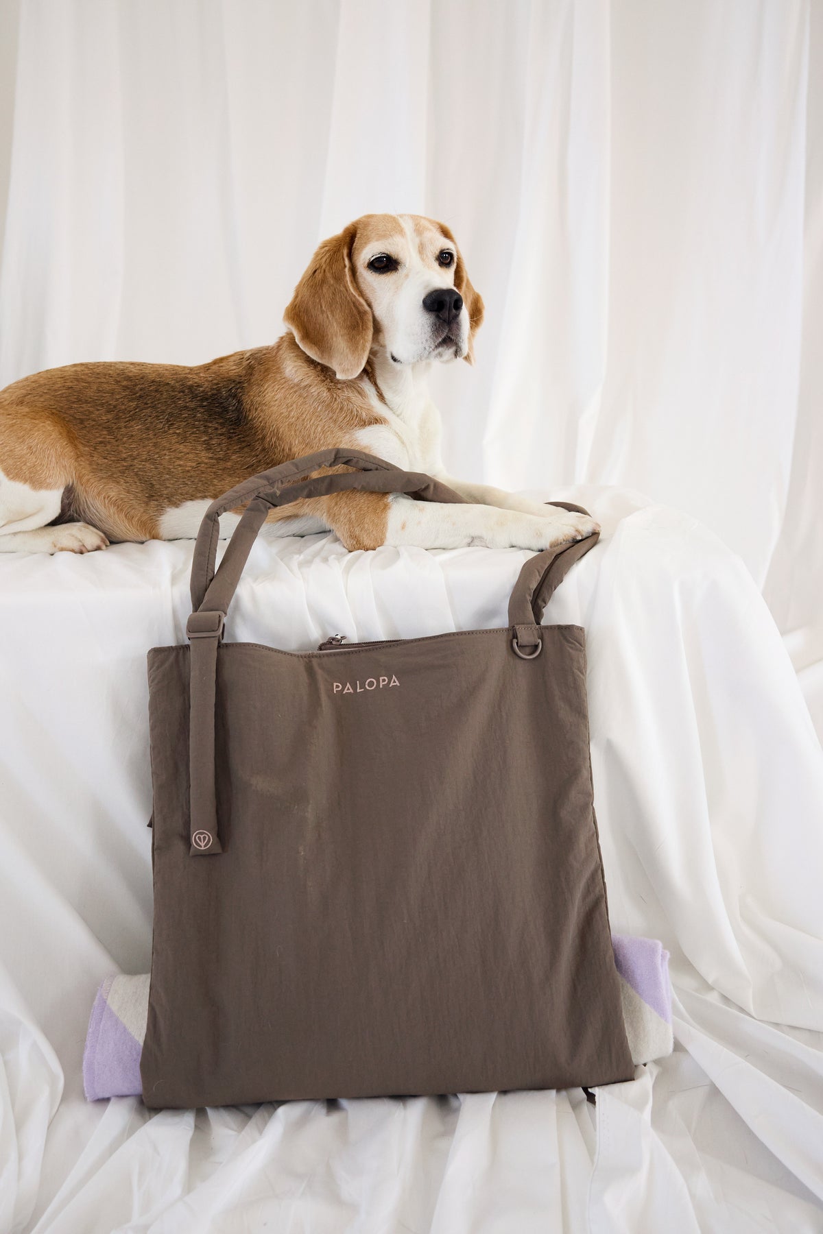 PALOPA Shopper Bag Torbi Crinkled Chocolate Gassitasche für Hundezubehör