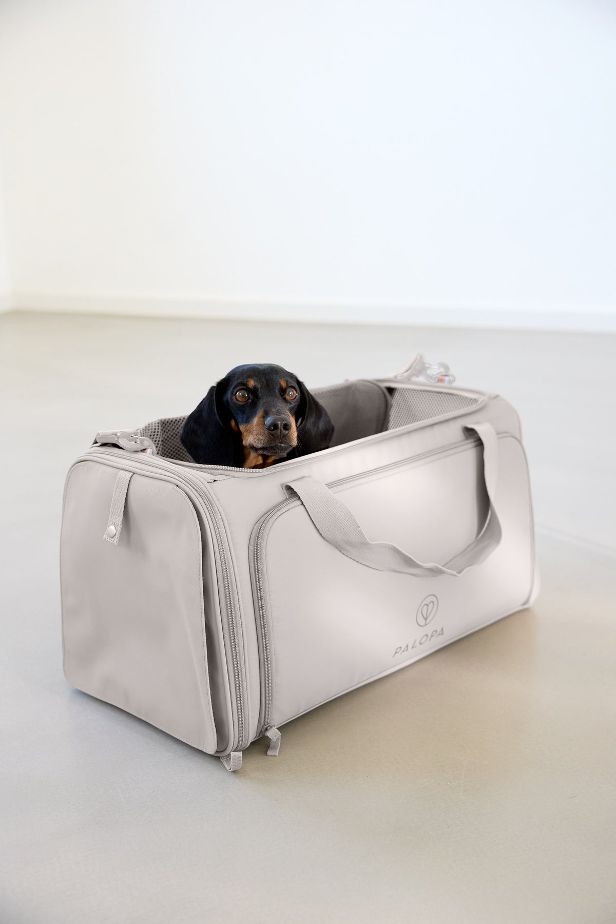PALOPA Travel Carrier Bag Benno Taupe Hundereisetasche faltbar