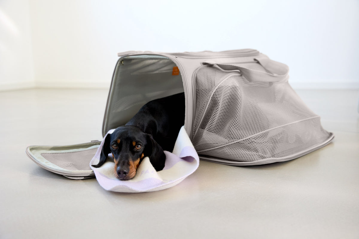 PALOPA Travel Carrier Bag Benno Taupe Hundetragetasche zum Umhängen